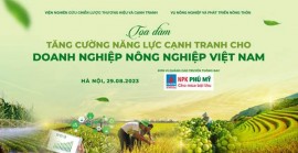 9 tháng đầu năm 2023 Xuất khẩu rau quả vượt 4 tỷ USD